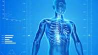 Your skeleton is much more than the structure supporting your muscles and other tissues.