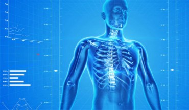 Your skeleton is much more than the structure supporting your muscles and other tissues.