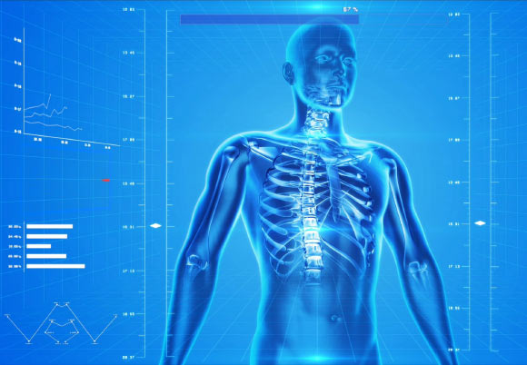 Your skeleton is much more than the structure supporting your muscles and other tissues.