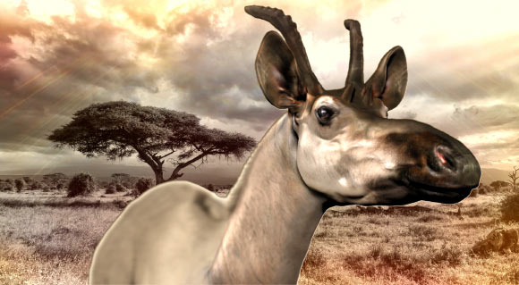 Reconstruction of the head of an adult female Decennatherium rex. Image credit: Oscar Sanisidro / Anja Cocoparisienne / Sci-News.com.