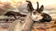 Reconstruction of the head of an adult female Decennatherium rex. Image credit: Oscar Sanisidro / Anja Cocoparisienne / Sci-News.com.