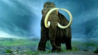 The woolly mammoth (Mammuthus primigenius) at the Royal BC Museum, Victoria, British Columbia. Image credit: Tracy O / CC BY-SA 2.0.