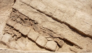 Excavated corner of room with the remains of the Sasanian loom between the wall (top) and a bench of six mudbricks. The round loom weights made from clay are particularly visible, as are slabs of mud once forming some kind of shelving. Image credit: Lanah Haddad.