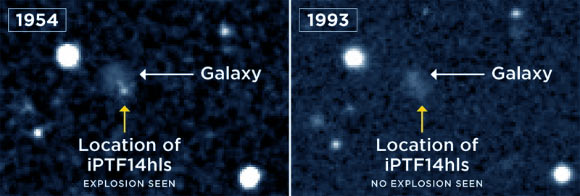 An image taken by the Palomar Observatory Sky Survey reveals a possible explosion in the year 1954 at the location of iPTF14hls (left), not seen in a later image taken in 1993 (right). Supernovae are known to explode only once, shine for a few months and then fade, but iPTF14hls experienced at least two explosions, 60 years apart. Image credit: Arcavi et al.