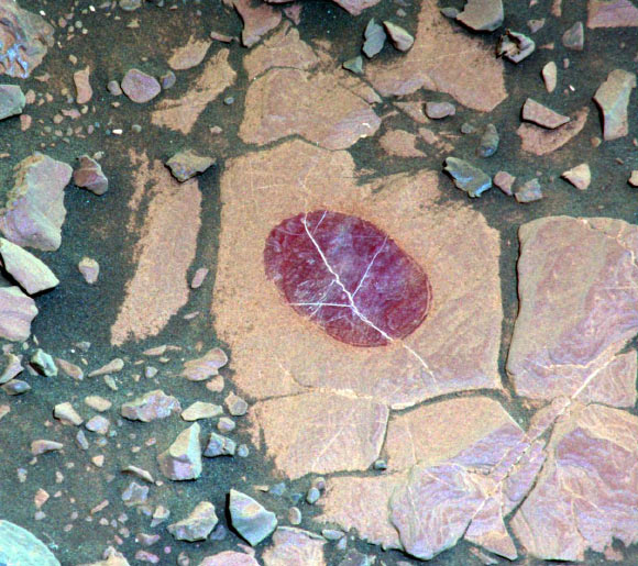 This false-color image demonstrates how use of special filters available on Curiosity’s Mastcam camera can reveal the presence of certain minerals in target rocks. It is a composite of images taken through three ‘science’ filters chosen for making hematite stand out as exaggerated purple. Mastcam’s narrow-band filters used for this view help to increase spectral contrast, making blues bluer and reds redder, particularly with the processing used to boost contrast in each of the component images of this composite. Fine-grained hematite preferentially absorbs sunlight around in the green portion of the spectrum around 527 nm. That gives it the purple look from a combination of red and blue light reflected by the hematite and reaching the camera through the other two filters. Bright lines within the rocks are fractures filled with calcium sulfate minerals. Image credit: NASA / JPL-Caltech / MSSS.