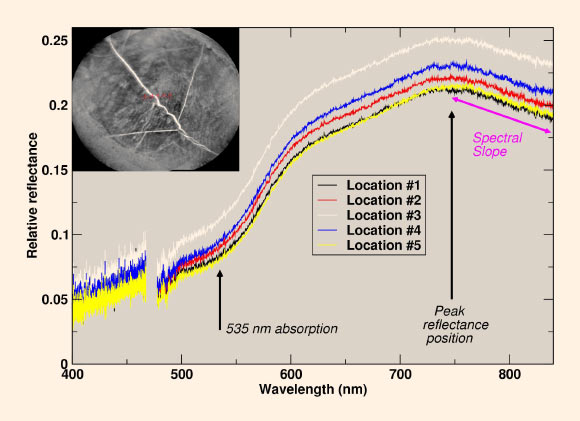 Curiosity’s ChemCam instrument examined an area on the Christmas Cove and found spectral evidence of hematite. The upper-left inset of this graphic is an image from ChemCam’s Remote Micro-Imager with five labeled points that the instrument analyzed. The image covers an area about 2 inches (5 cm) wide, and the bright lines are fractures in the rock filled with calcium sulfate minerals. The five charted lines of the graphic correspond to those five points and show the spectrometer measurements of brightness at thousands of different wavelengths, from 400 nm (at the violet end of the visible-light spectrum) to 840 nm (in near-infrared). Sections of the spectrum measurements that are helpful for identifying hematite are annotated. These include a dip around 535 nm, the green-light portion of the spectrum at which fine-grained hematite tends to absorb more light and reflect less compared to other parts of the spectrum. The spectra also show maximum reflectance values near 750 nm, followed by a steep decrease in the spectral slope toward 840 nm, both of which are consistent with hematite. Image credit: CNRS.