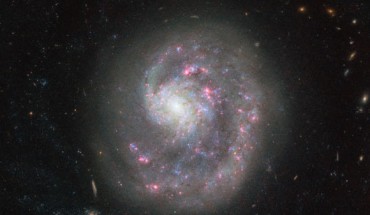 This image of the dwarf galaxy NGC 4625 is a composite of separate exposures acquired by the Advanced Camera for Surveys onboard the NASA/ESA Hubble Space Telescope. Two filters were used to sample various wavelengths. The color results from assigning different hues to each monochromatic image associated with an individual filter. Image credit: NASA / ESA / Hubble.