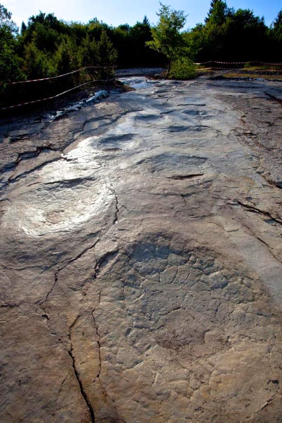 The 110-step trackway represents a new ichnospecies, Brontopodus plagnensis, and extends over 508 feet -- a world record for sauropods, which were the largest of the dinosaurs. Image credit: P. Dumas.