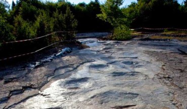 The 110-step trackway represents a new ichnospecies, Brontopodus plagnensis, and extends over 508 feet -- a world record for sauropods, which were the largest of the dinosaurs. Image credit: P. Dumas.