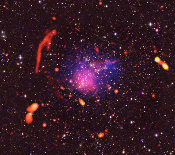 Composite image of the Abell 2744 region, with radio, X-Ray, and optical data combined. Image credit: Pearce et al / Bill Saxton / NRAO / AUI / NSF / Chandra / Subaru / ESO.