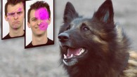 Happy faces are attractive to dogs. Image credit: Sanni Somppi.