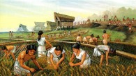 Prehistoric Central European women’s manual labor was tougher than rowing in today’s boat crews.