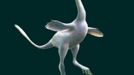 An artist’s rendering of Halszkaraptor escuilliei. Image credit: Lukas Panzarin / Andrea Cau.