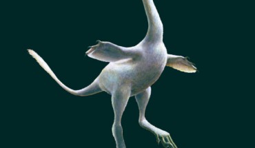 An artist’s rendering of Halszkaraptor escuilliei. Image credit: Lukas Panzarin / Andrea Cau.