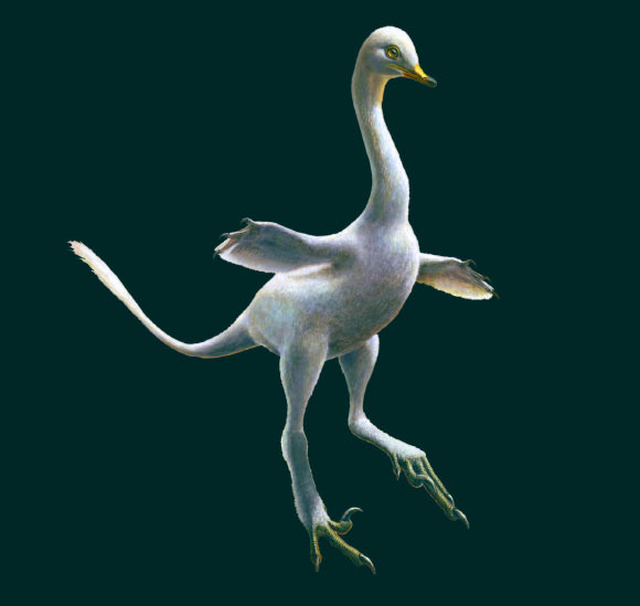 An artist’s rendering of Halszkaraptor escuilliei. Image credit: Lukas Panzarin / Andrea Cau.