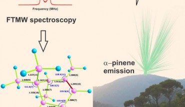 Gas-phase structure of alpha-pinene was experimentally unveiled, using Fourier transform microwave spectroscopy and quantum chemical calculations. Image credit: Elias M. Neeman.