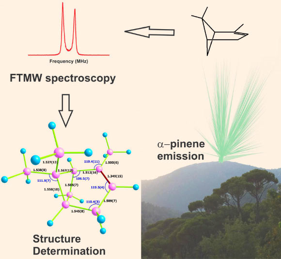 Gas-phase structure of alpha-pinene was experimentally unveiled, using Fourier transform microwave spectroscopy and quantum chemical calculations. Image credit: Elias M. Neeman.