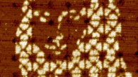 DNA rendering of Leonardo da Vinci’s Mona Lisa viewed with atomic force microscopy. Image credit: Tikhomirov et al.