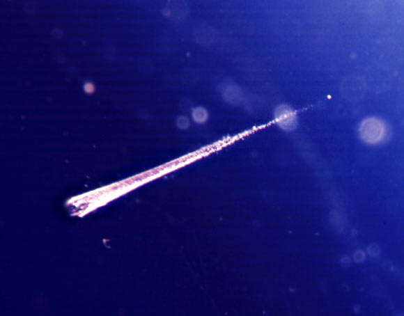 A 1.5-mm-long impact track of a meteoroid captured in aerogel exposed to space by the European Retrievable Carrier (EURECA) spacecraft. Image credit: NASA / ESA.