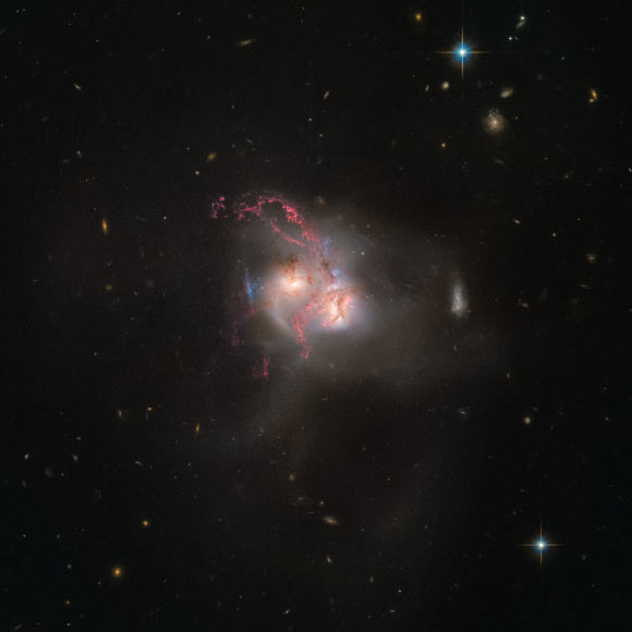 This Hubble image shows NGC 5256, a pair of galaxies in its final stage of merging. Image credit: NASA / ESA / Hubble.