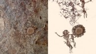 Kisar cave painting of figures gesturing to sundrum. Image credit: Australian National University.