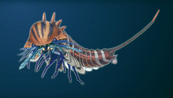 Artistic reconstruction of Habelia optata. This creature and its relatives were active predators of the Cambrian sea floors, hunting for small shelly sea creatures, such as small trilobites -- arthropods with hard, mineralized exoskeletons that were already very diverse and abundant during Cambrian times. Image credit: Joanna Liang, Royal Ontario Museum.