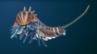Artistic reconstruction of Habelia optata. This creature and its relatives were active predators of the Cambrian sea floors, hunting for small shelly sea creatures, such as small trilobites -- arthropods with hard, mineralized exoskeletons that were already very diverse and abundant during Cambrian times. Image credit: Joanna Liang, Royal Ontario Museum.