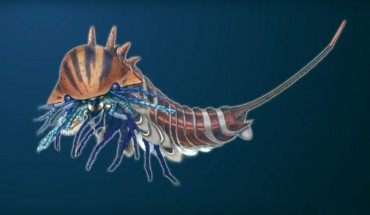 Artistic reconstruction of Habelia optata. This creature and its relatives were active predators of the Cambrian sea floors, hunting for small shelly sea creatures, such as small trilobites -- arthropods with hard, mineralized exoskeletons that were already very diverse and abundant during Cambrian times. Image credit: Joanna Liang, Royal Ontario Museum.