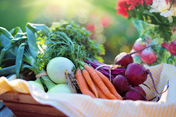 Cummings et al suggest that specifically reducing dietary BCAAs may represent a highly translatable option for the treatment of obesity and insulin resistance. Image credit: Jill Wellington.