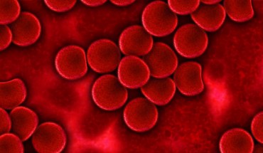 Vasopressin is an antidiuretic hormone, whose best known functions are to promote water retention and maintain fluid balance. However, it also has other effects, and Mayer et al discovered that these include stimulation of red blood cell maturation. Image credit: Gerd Altmann.