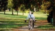 Exercising twice a week may improve memory and thinking ability in patients with mild cognitive impairment, according to a new guideline released by the American Academy of Neurology. Image credit: Ingrid Holiho.