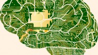 According to Seidlitz et al, morphometric similarity mapping provides a novel, robust, and biologically plausible approach to understanding how human brain networks underpin individual differences in psychological functions. Image credit: Gordon Johnson.
