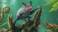 An artist’s impression of the New Zealand greater short-tailed, or burrowing, bat (Mystacina robusta) that went extinct last century. Vulcanops jennyworthyae is the biggest burrowing bat yet known. It also represents the first new bat genus to be added to New Zealand's fauna in more than 150 years. Image credit: Gavin Mouldey.