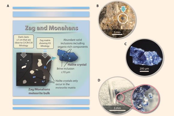 Zag/Monahans meteorites and their salt (halite) crystals: (A) diagram showing the lithologies of the Zag and Monahans meteorites, their dark (carbonaceous) clasts, the salt crystals, and the fluid and solid inclusions within the salt crystals; (B) salt crystals hosted in the matrix regions of the Zag meteorite; the arrow marks one of the several salt crystals shown in this photo; (C) a microphotograph showing a salt crystal sampled from the Zag meteorite; (D) salt crystals sampled from the Zag meteorite contained in a pre-sterilized glass ampoule before hot-water extraction. Image credit: Chan et al, doi: 10.1126/sciadv.aao3521.