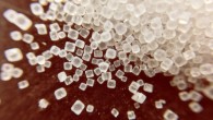 This study is the first to unveil a gut-brain connection linking high dietary salt intake to neurovascular and cognitive impairment. Image credit: Justin Kolenc.