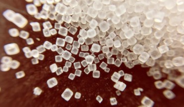 This study is the first to unveil a gut-brain connection linking high dietary salt intake to neurovascular and cognitive impairment. Image credit: Justin Kolenc.