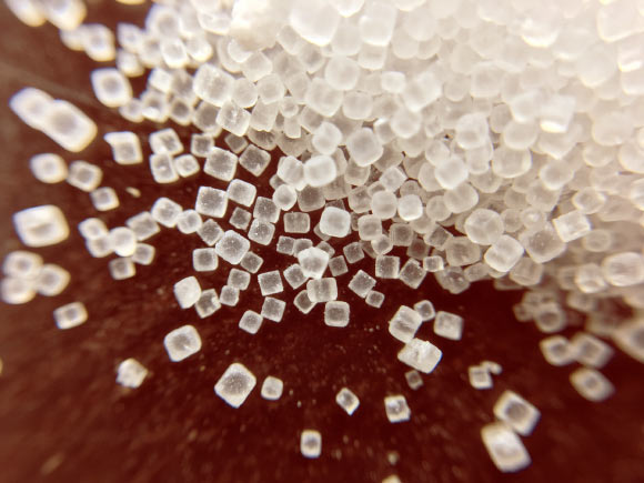 This study is the first to unveil a gut-brain connection linking high dietary salt intake to neurovascular and cognitive impairment. Image credit: Justin Kolenc.