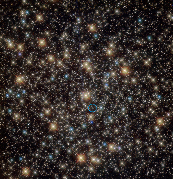 This Hubble image shows the central region of the globular star cluster NGC 3201. A star that has been found to be orbiting a stellar-mass black hole is indicated with blue circle. Image credit: NASA / ESA.
