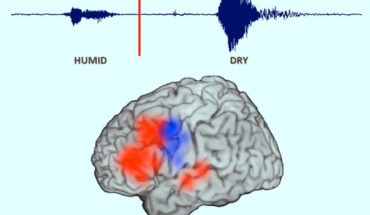 Haller et al tracked the brain as it generated an antonym: the brain required 2-3 seconds to detect (yellow), interpret and search for an answer (red) and respond (blue), with sustained prefrontal lobe activity (red) to coordinate all areas of the brain involved. Image credit: University of California, Berkeley.