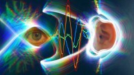 The eardrums move when the eyes move. Image credit: Jessi Cruger & David Murphy, Duke University.