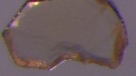 Diamonds with garnet inclusions (like the one shown here) can form at depths down to 342 miles below the Earth’s surface. Image credit: Jeff W. Harris, University of Glasgow.
