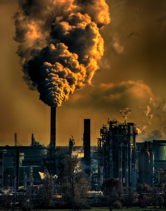 Perera et al find babies exposed in the womb to high levels of air pollution had shortened telomeres. Image credit: Chris LeBoutillier.