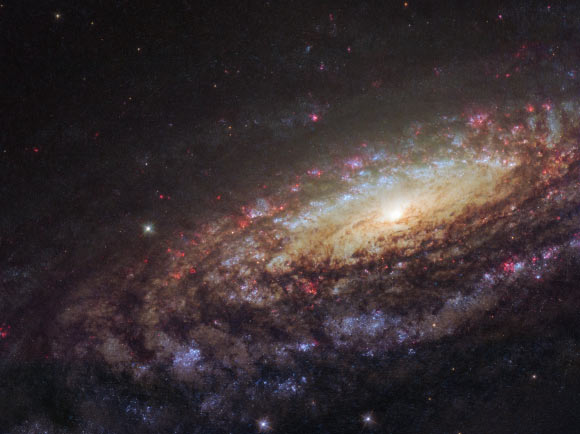 This Hubble/WFC3 image shows the unbarred spiral galaxy NGC 7331. Image credit: NASA / ESA / Hubble / D. Milisavljevic, Purdue University.