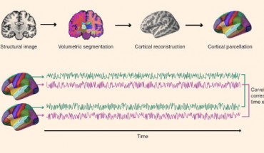Parkinson et al show evidence for neural homophily -- neural responses when viewing audiovisual movies are exceptionally similar among friends, and that similarity decreases with increasing distance in a real-world social network. Image credit: Parkinson et al, doi: 10.1038/s41467-017-02722-7.