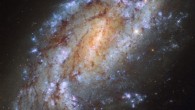This image from the NASA/ESA Hubble Space Telescope shows the barred spiral galaxy NGC 1559. Image credit: NASA / ESA / Hubble.