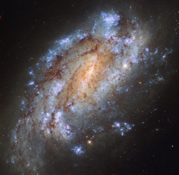 This image from the NASA/ESA Hubble Space Telescope shows the barred spiral galaxy NGC 1559. Image credit: NASA / ESA / Hubble.