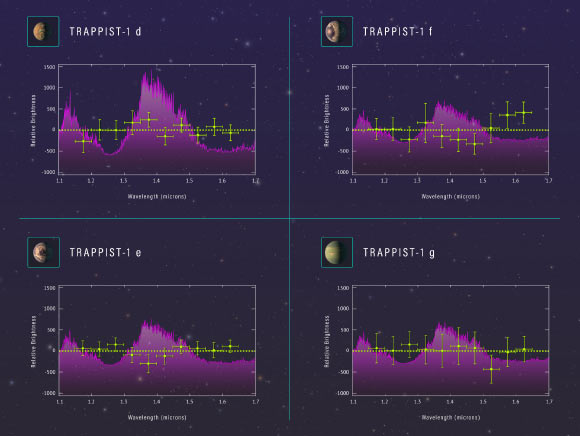 These spectra show the chemical makeup of the atmospheres of four of the Earth-sized planets orbiting within or near the habitable zone of the star TRAPPIST-1. To obtain the spectra, astronomers used Hubble to collect light from TRAPPIST-1 passing through the exoplanets’ atmospheres as the exoplanets crossed in front of the star. The purple curves show the predicted signatures of gases such as water and methane that absorb certain wavelengths of light. These gases would be found in a puffy hydrogen-dominated atmosphere similar to those of gaseous planets such as Neptune. The Hubble results, indicated by the green crosses, reveal no evidence of an extended atmosphere in three of the exoplanets (TRAPPIST-1d, f, and e). Additional observations are needed to rule out a hydrogen-dominated atmosphere for the fourth planet (TRAPPIST-1g). The evidence indicates that the atmospheres are more compact than could be measured by the Hubble observations. Image credit: NASA / ESA / Z. Levy, STScI.