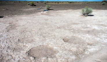 Footprints of Columbian mammoths (Mammuthus columbi), dated to 43,000 years ago, are seen in a portion of a trackway that was uncovered by Retallack et al in 2017 in an ancient dry lake bed in Lake County, Oregon. Image credit: Greg Shine, Bureau of Land Management.