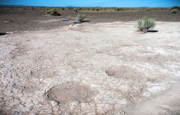 Footprints of Columbian mammoths (Mammuthus columbi), dated to 43,000 years ago, are seen in a portion of a trackway that was uncovered by Retallack et al in 2017 in an ancient dry lake bed in Lake County, Oregon. Image credit: Greg Shine, Bureau of Land Management.