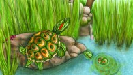 Trachemys haugrudi represents a new species of fossil turtle that lived in what is now eastern Tennessee more than 5.5 million years ago. Image credit: Mary P. Williams.